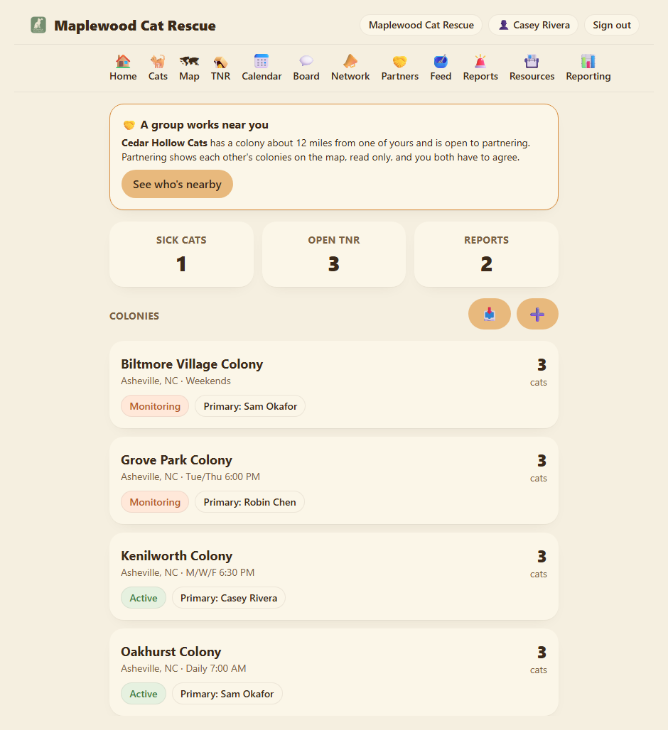Dashboard with a new report visible